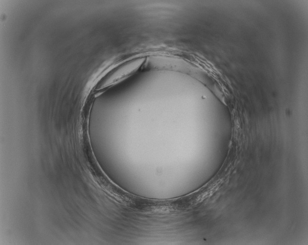 X0000067480344200605051718