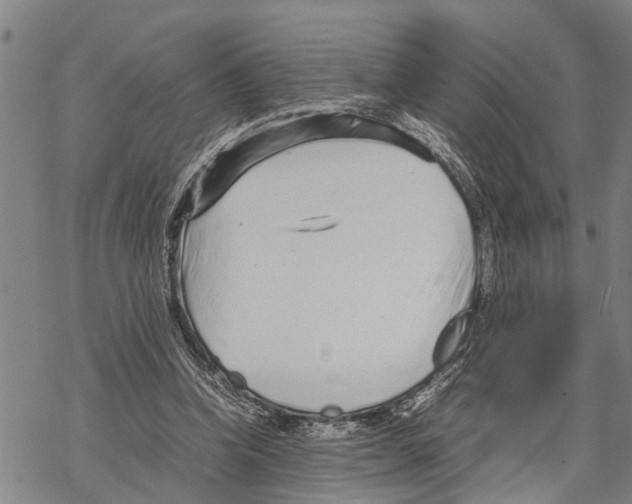 X0000067480346200605051718