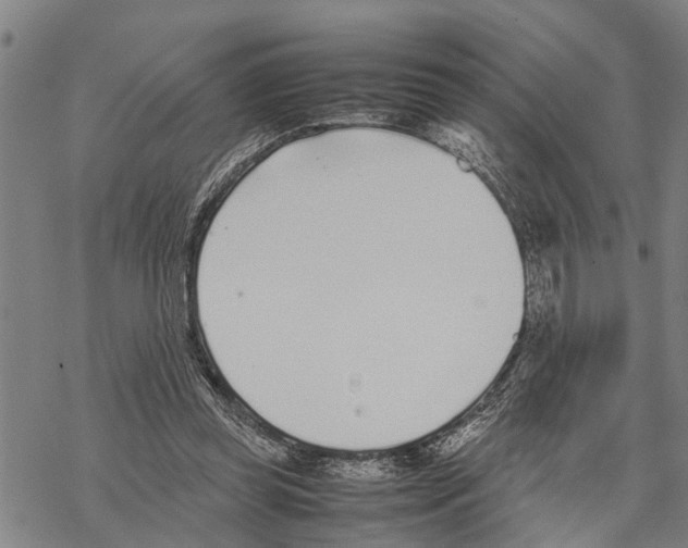 X0000067480349200605051718