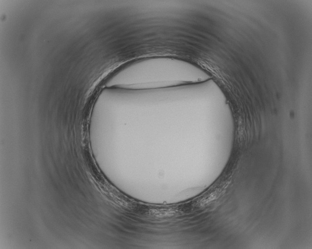 X0000067480351200605051718