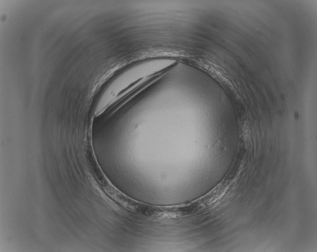 X0000067480352200605051718