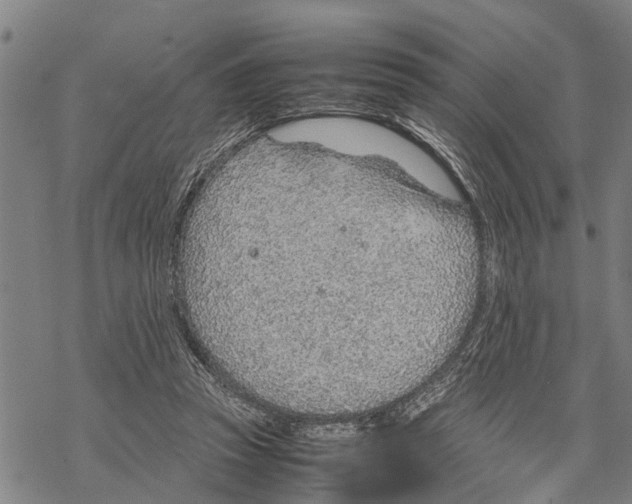 X0000067480353200605051718