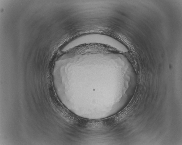 X0000067480354200605051718