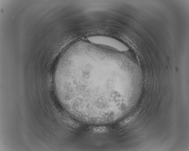 X0000067480355200605051718