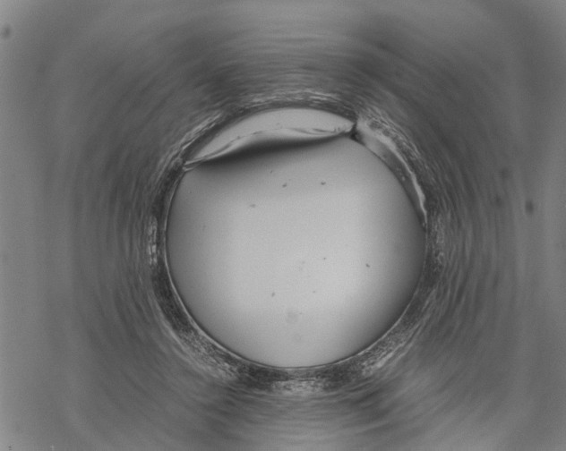 X0000067480356200605051718