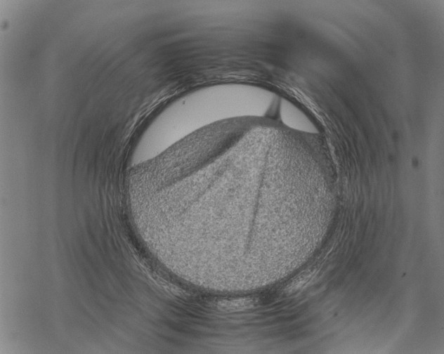 X0000067480357200605051718