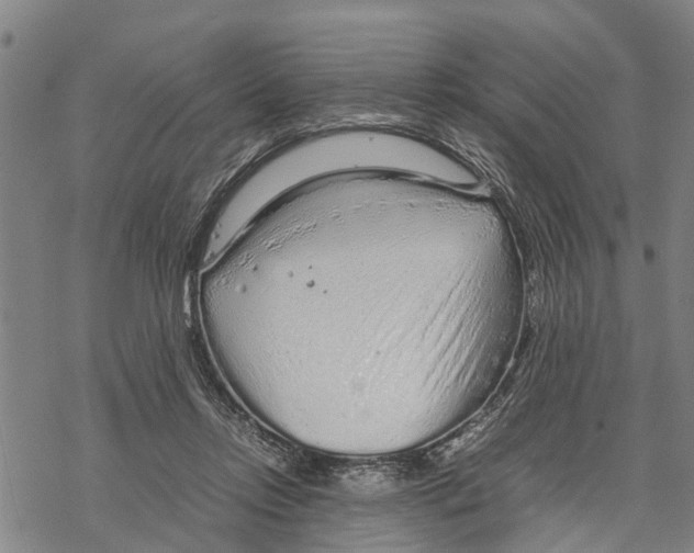 X0000067480358200605051718