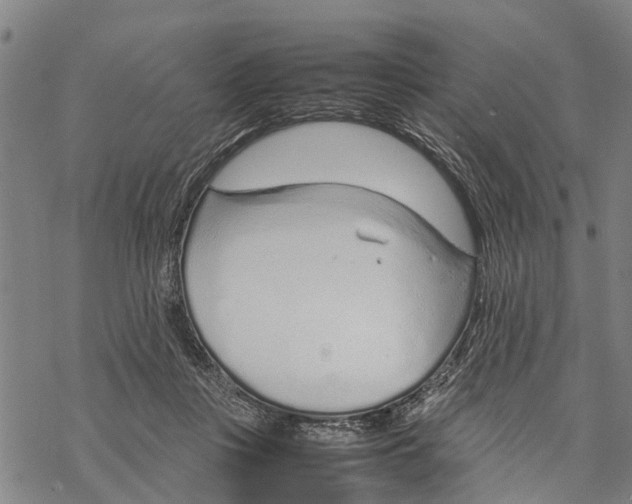 X0000067480359200605051718