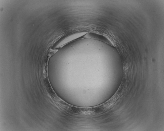 X0000067480360200605051718