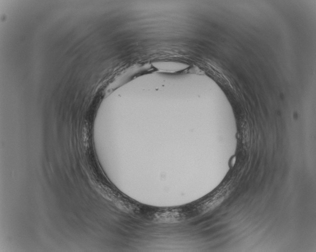 X0000067480362200605051718