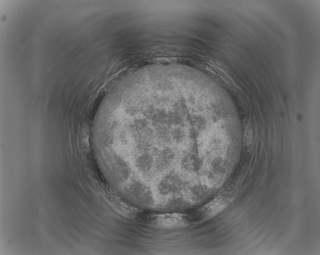 X0000067480363200605051718