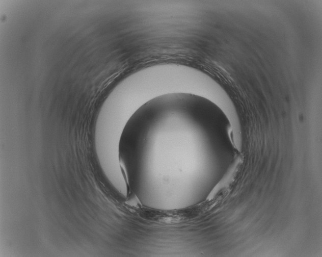 X0000067480364200605051718