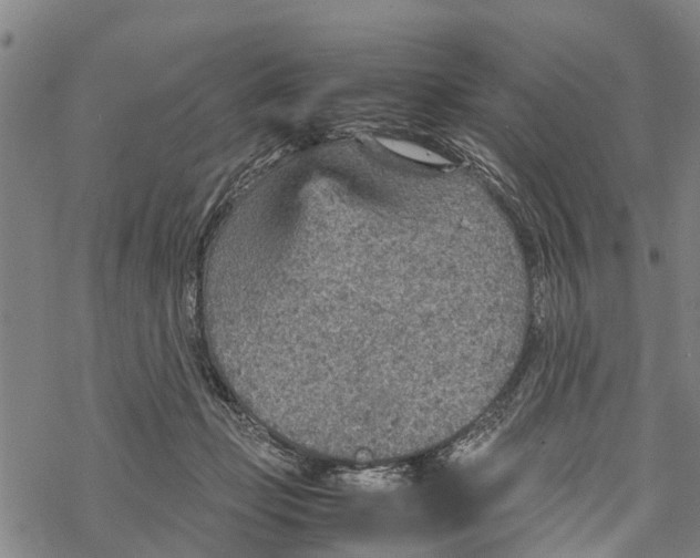 X0000067480365200605051718