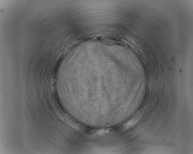 X0000067480366200605051718