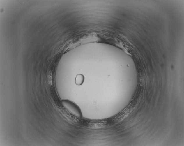 X0000067480368200605051718