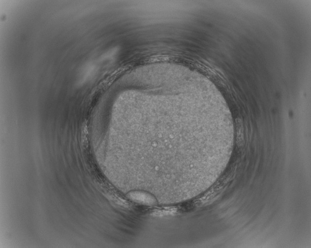 X0000067480369200605051718