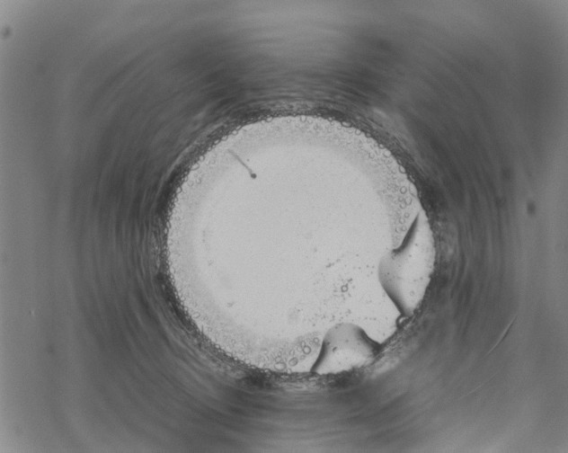 X0000067480370200605051718