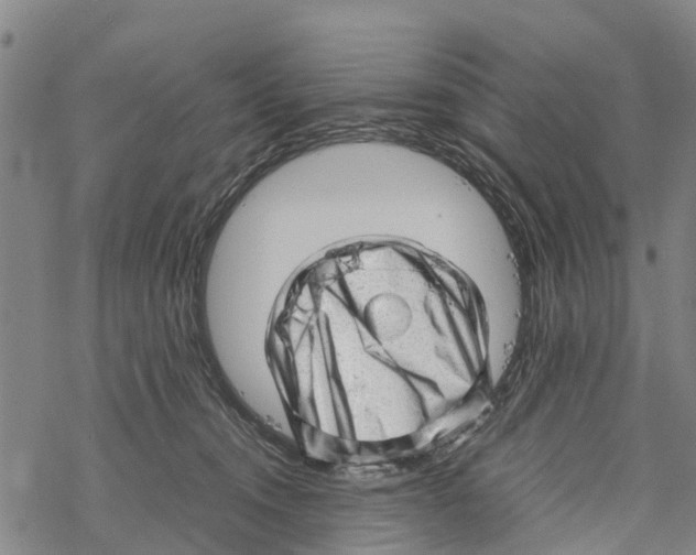 X0000067480372200605051718