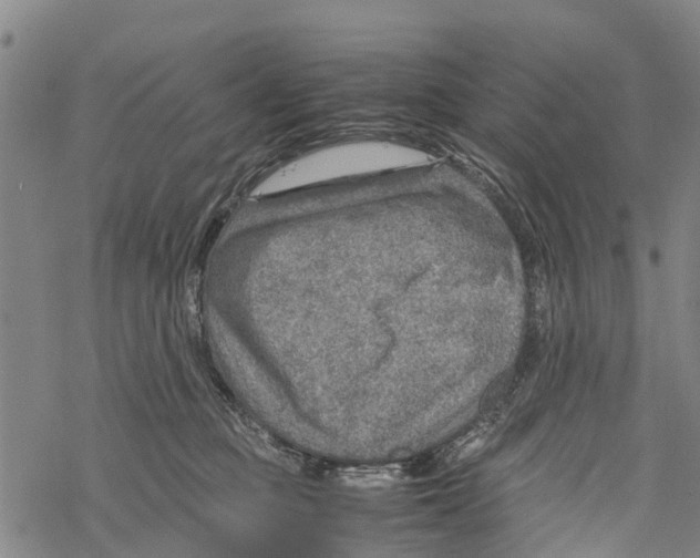 X0000067480373200605051718