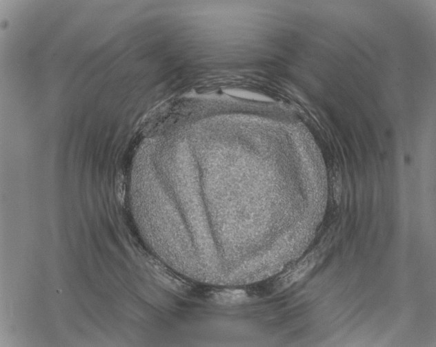 X0000067480374200605051718