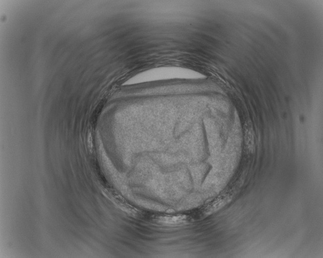 X0000067480375200605051718