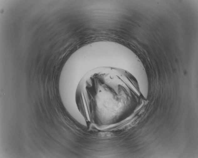 X0000067480376200605051718