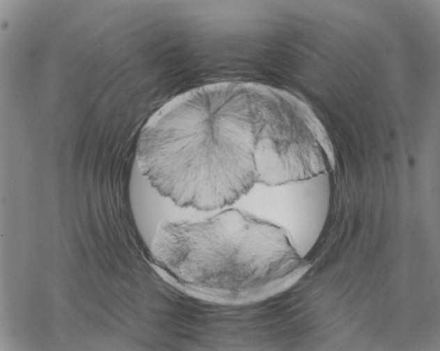 X0000067480377200605051718