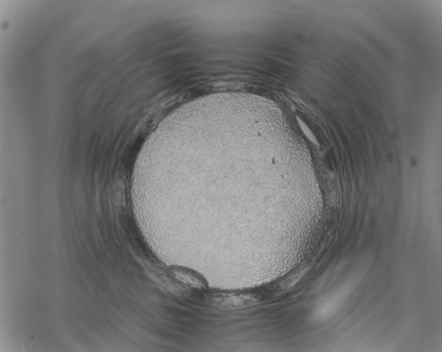 X0000067480379200605051718