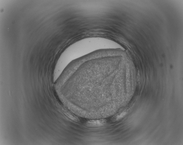 X0000067480381200605051718