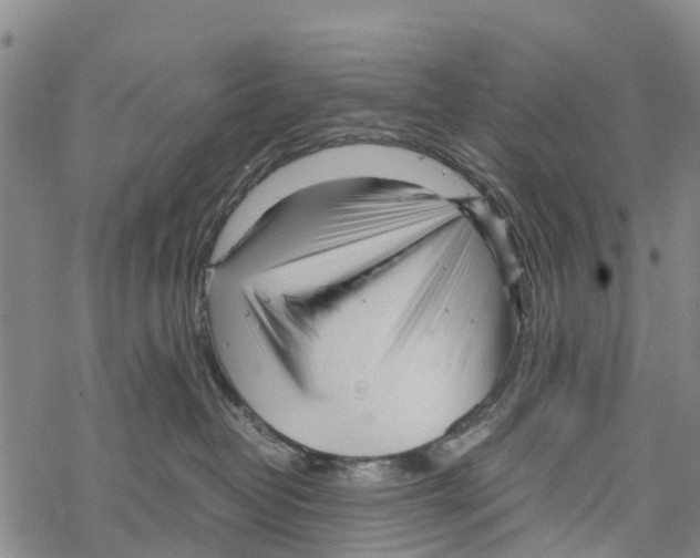 X0000067480382200605051718