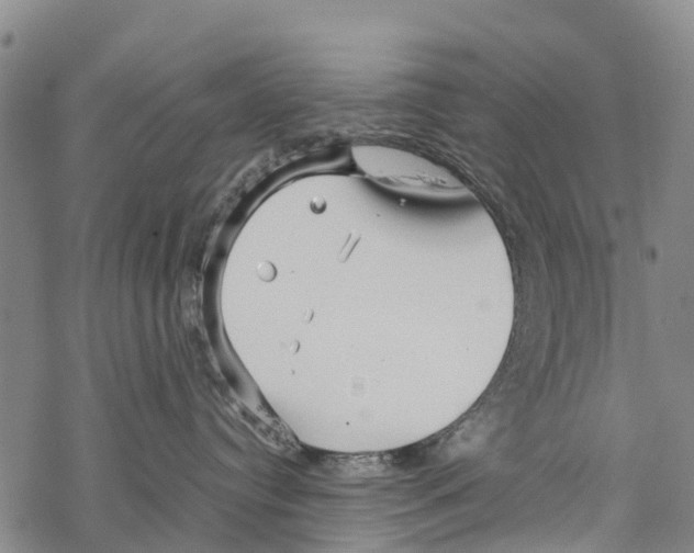 X0000067480384200605051718