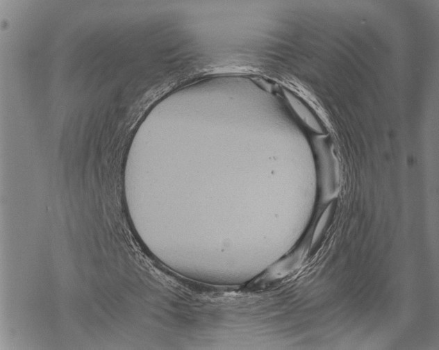 X0000067480385200605051718