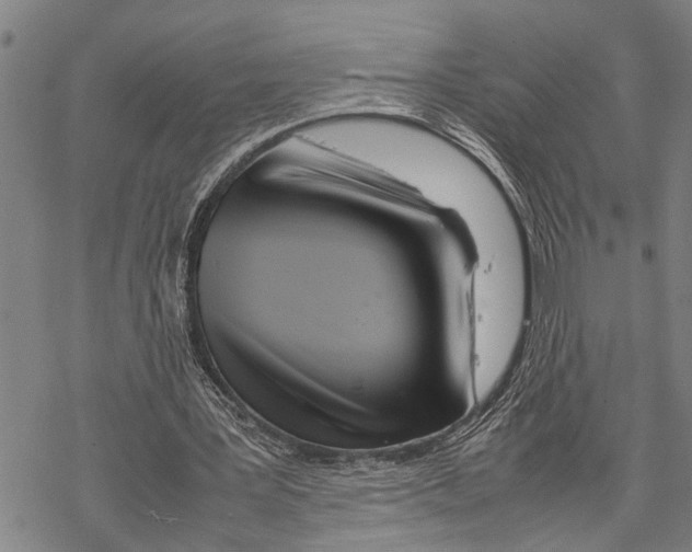 X0000067480387200605051718