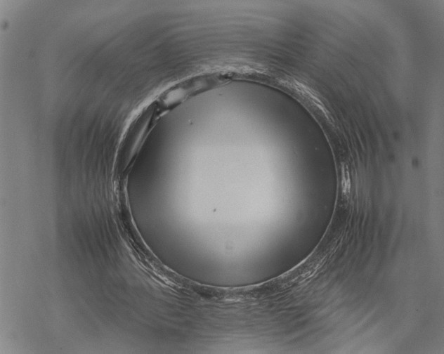 X0000067480388200605051718