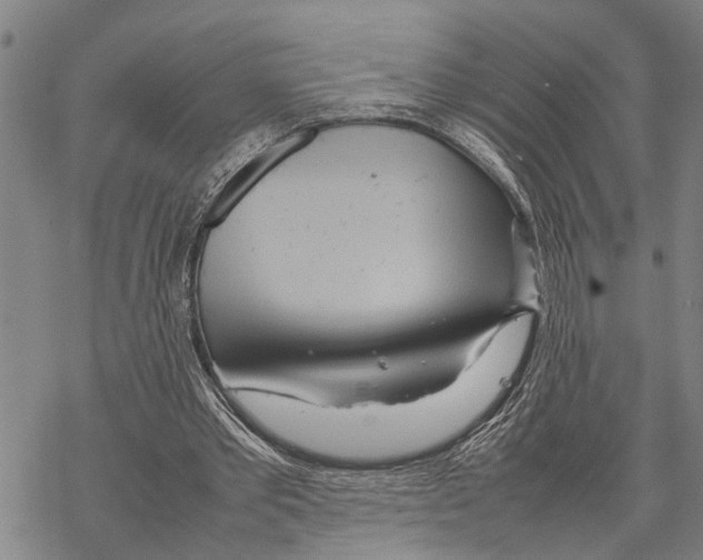 X0000067480389200605051718