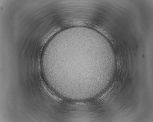 X0000067480390200605051718