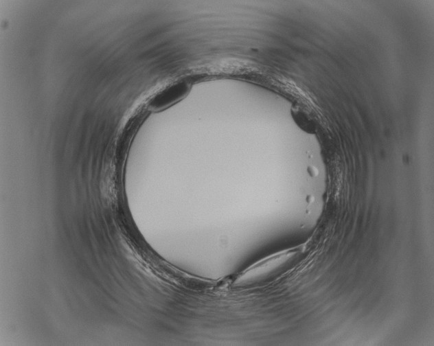 X0000067480392200605051718