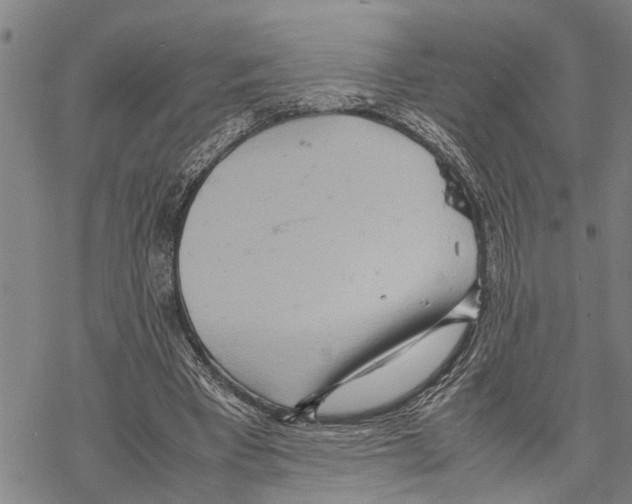 X0000067480393200605051718