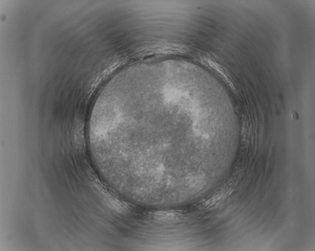 X0000067480394200605051718