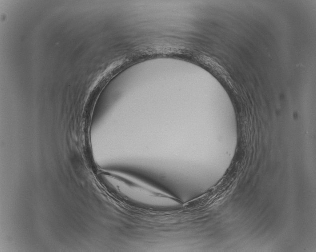 X0000067480395200605051718