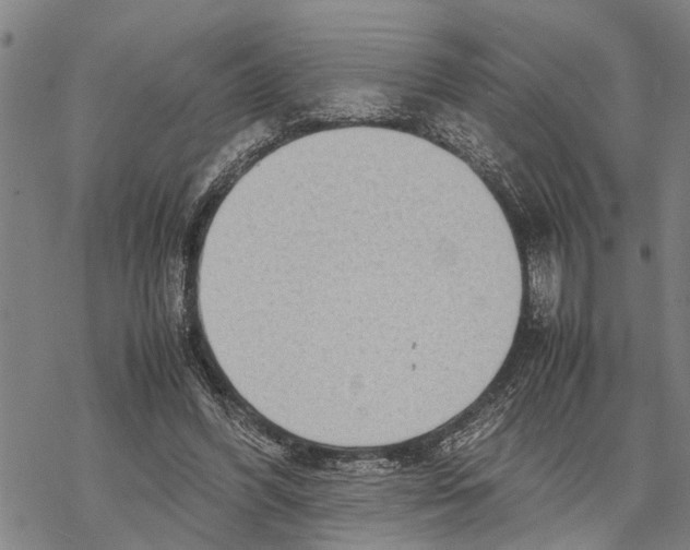 X0000067480396200605051718