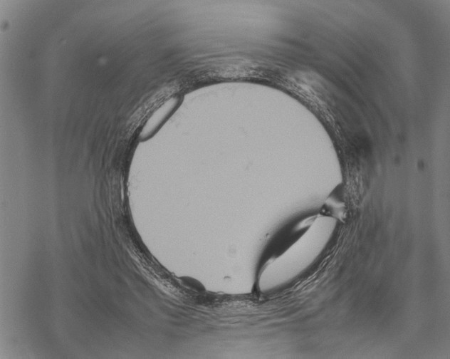 X0000067480397200605051718