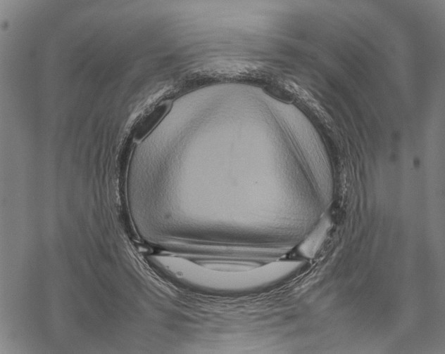 X0000067480399200605051717