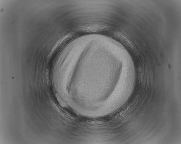 X0000067480400200605051717