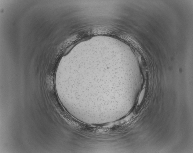 X0000067480401200605051717