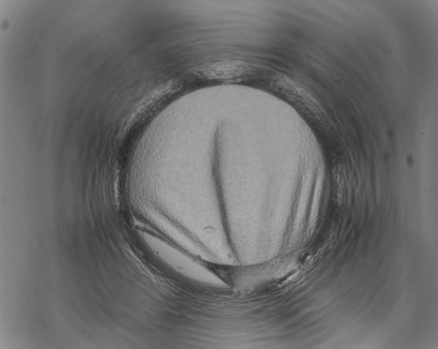 X0000067480404200605051717