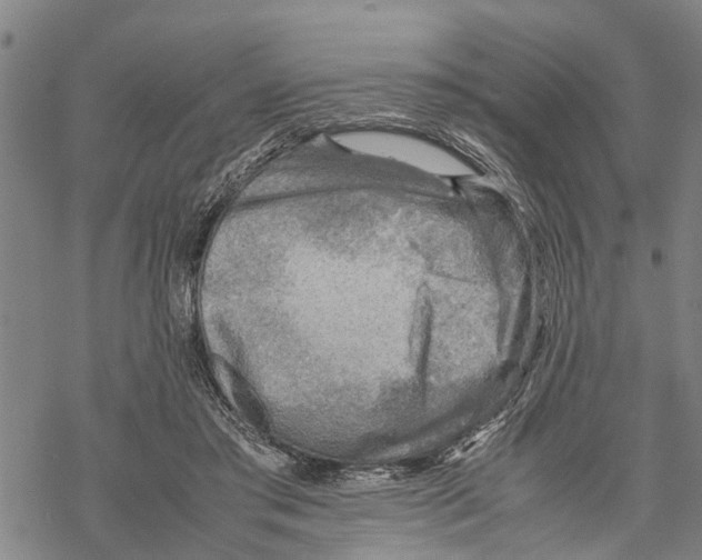 X0000067480405200605051717