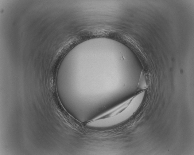 X0000067480407200605051717