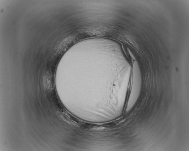 X0000067480408200605051717