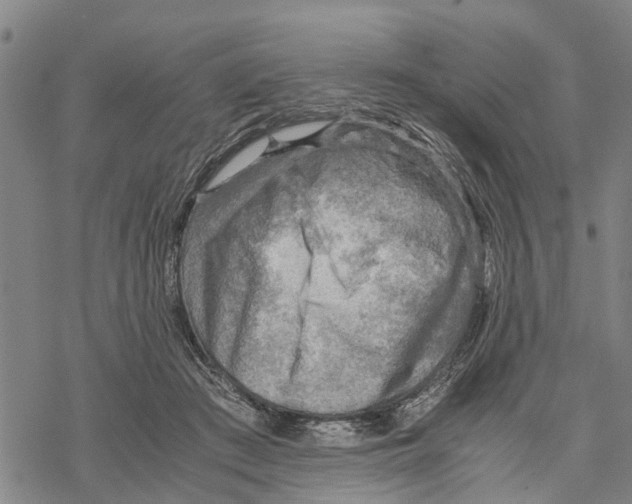 X0000067480409200605051717